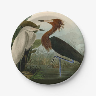 Assiettes En Carton Peinture de la faune d'Audubon Heron violet