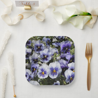 Assiettes En Carton Pensées violettes