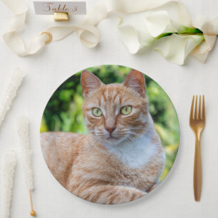 Assiettes En Carton Petit chou doux