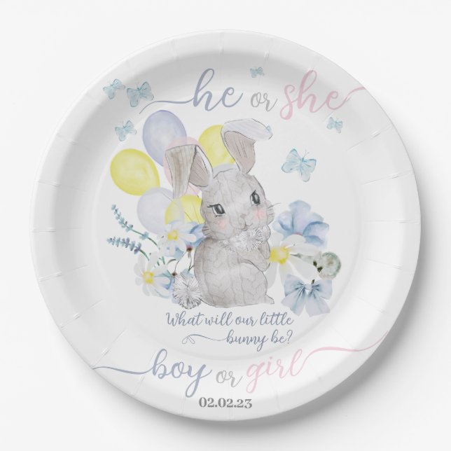 Assiettes En Carton Petit lapin sexe révéler plaque de fête. plat de p (Devant)