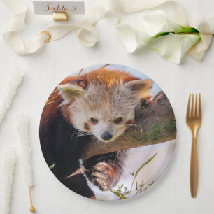 Assiettes En Carton Petit panda rouge pâle