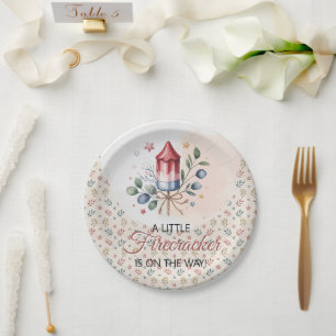 Assiettes En Carton Petite Fête Patriotique du 4 Juillet pour Bébé