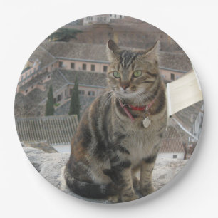 Assiettes En Carton Photo de chat aux yeux verts Plaque de papier