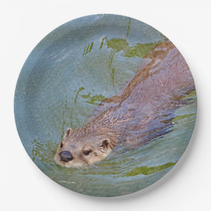 Assiettes En Carton Photo de la faune de la nage de Otter