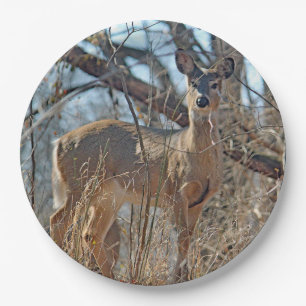 Assiettes En Carton Photo de la faune Deer Woods