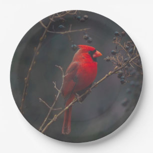 Assiettes En Carton Photo du cardinal rouge de la faune