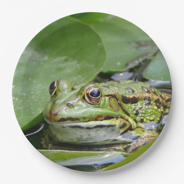 Assiettes En Carton Photo Grenouille Green Lily Pad (Devant)