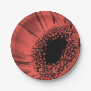 Assiettes En Carton Photo, macro