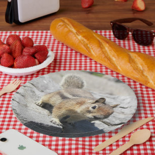 Assiettes En Carton Photo mignonne d'écureuil moulu