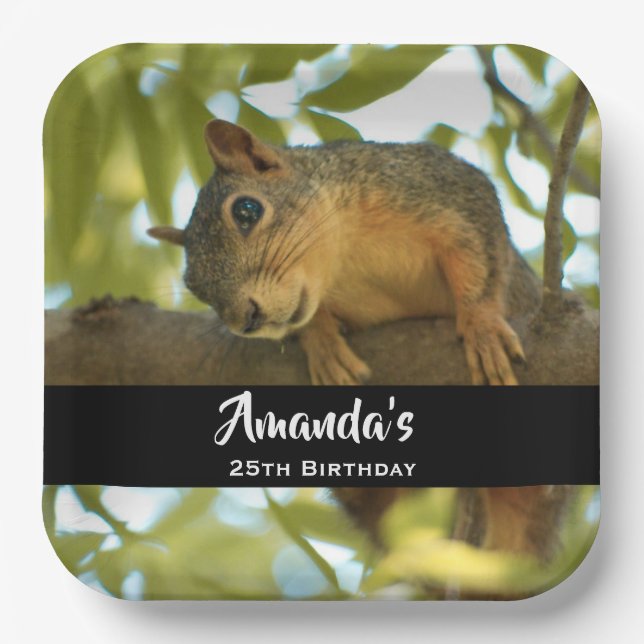 Assiettes En Carton Photo nature d'écureuil mignonne et curieuse - Ann (Recto)