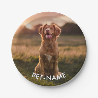 Assiettes En Carton Photo personnalisée avec le nom de votre chien