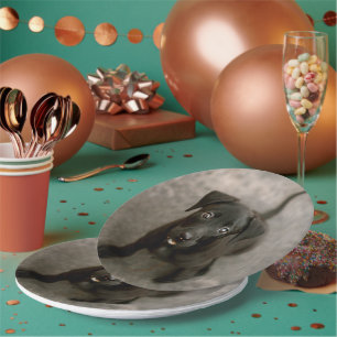 Assiettes En Carton Photo personnalisée pour animaux