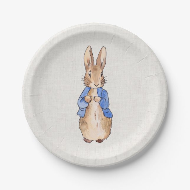 Assiettes En Carton Pierre le lapin lin beige texturé arrière - plan (Devant)