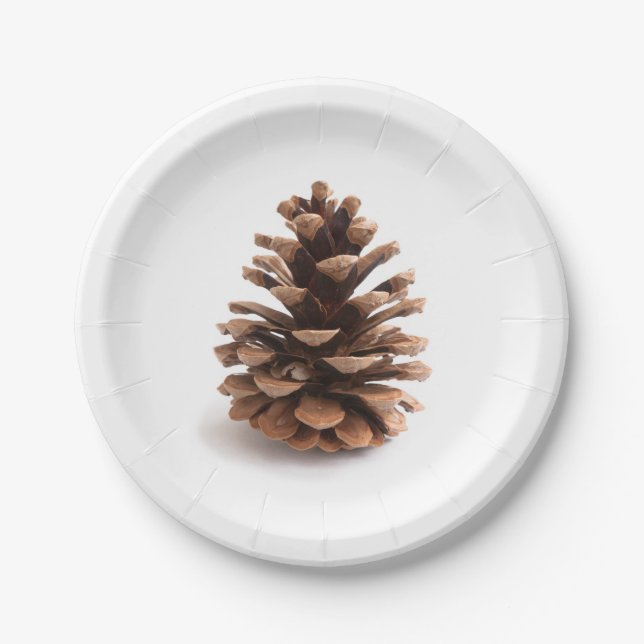 Assiettes En Carton Pinecone (Devant)