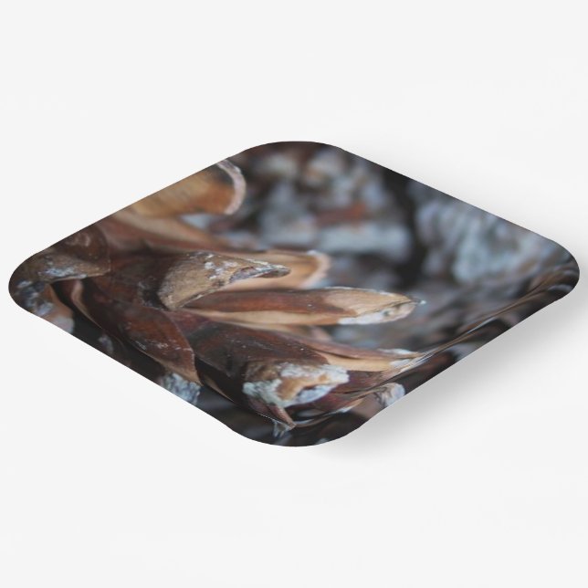 Assiettes En Carton Pinecones Automne Automne Nature Serving (Angulaire)