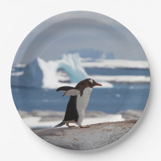 Assiettes En Carton Pingouin devant une arche de glace (Devant)
