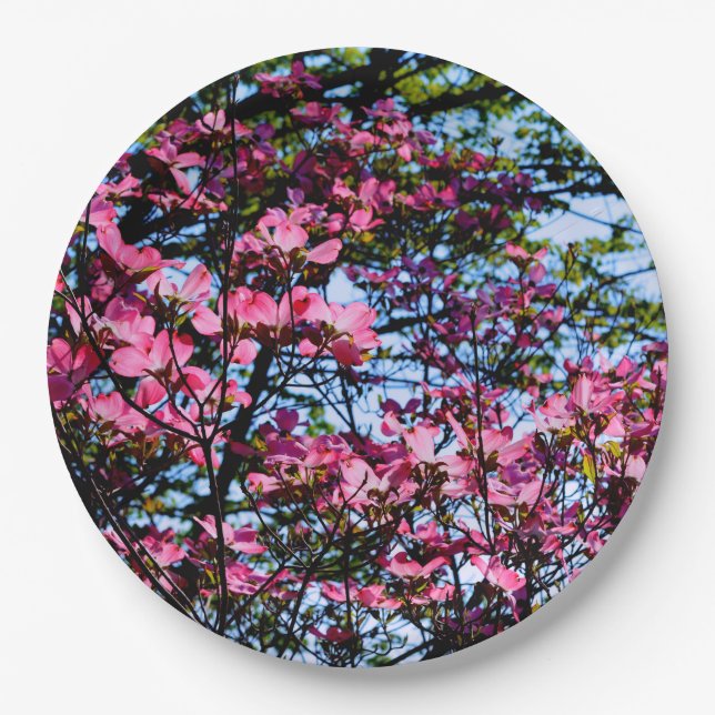 Assiettes En Carton Pink flowering Dogwood tree (Devant)