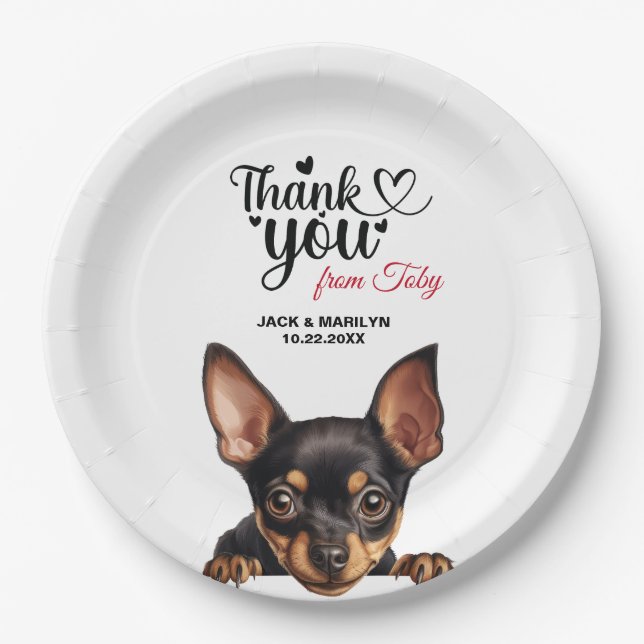 Assiettes En Carton Pinscher Nain Chien (Devant)