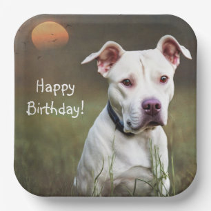 Assiettes En Carton Pitbull blanc