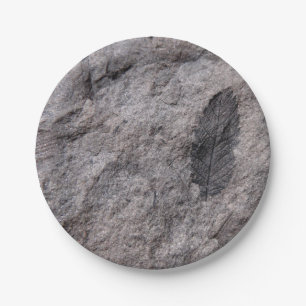 Assiettes En Carton Plante fossilisé 350 Millions D'Yr. Imprimé