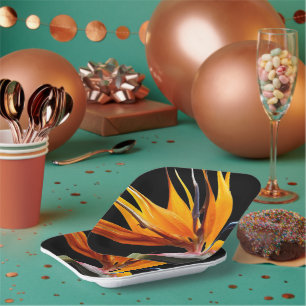 Assiettes En Carton Plante oiseau de paradis orange sur fond noir
