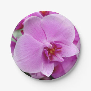 Assiettes En Carton Plaque à papier de belle orchidée