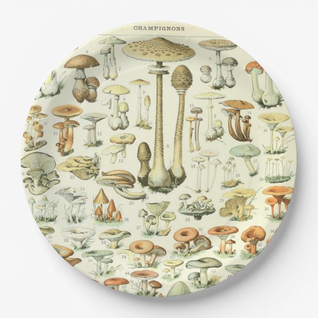 Assiettes En Carton Plaque à papier de champignons (Devant)