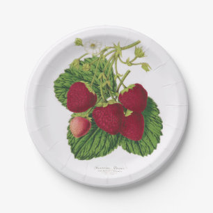 Assiettes En Carton Plaque à papier de pique-nique antique de fraise