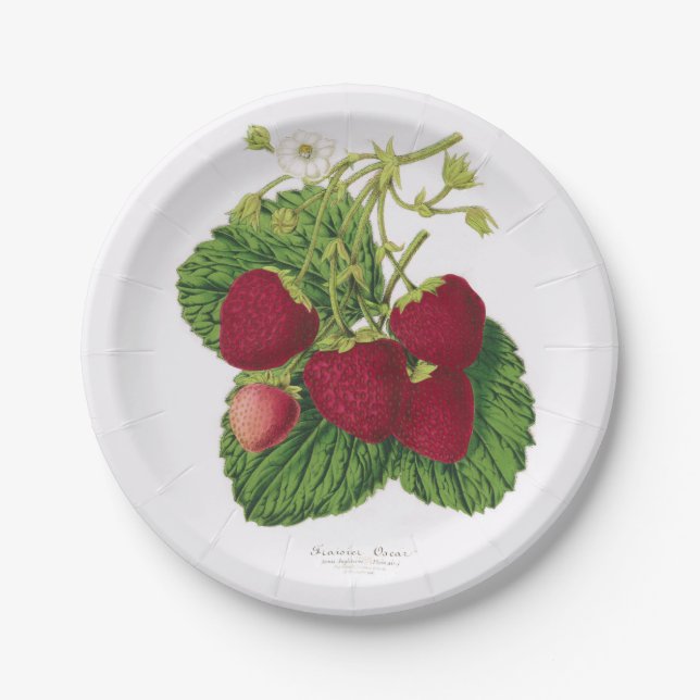 Assiettes En Carton Plaque à papier de pique-nique antique de fraise (Devant)