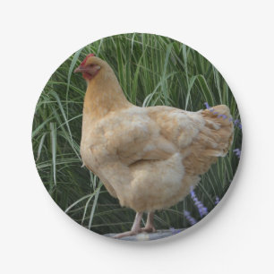 Assiettes En Carton Plaque à papier de poulet