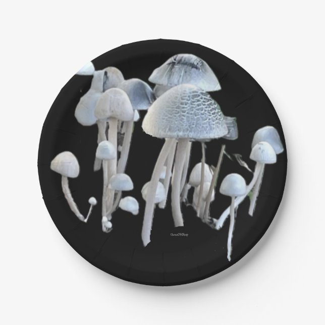 Assiettes En Carton Plaque de papier (Devant)