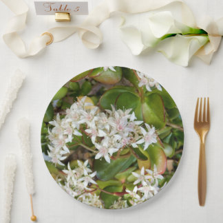 Assiettes En Carton Plaque de papier Crassula ovata