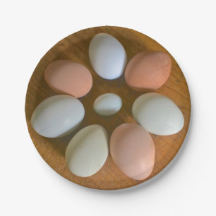 Assiettes En Carton Plaque de papier d'oeuf de poulet