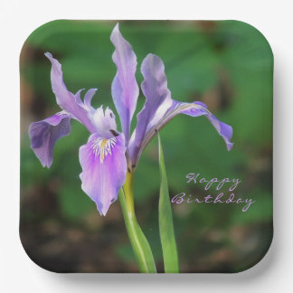 Assiettes En Carton Plaque de papier Iris violet