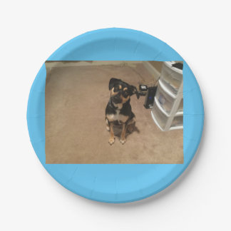 Assiettes En Carton Plaque de papier Josie