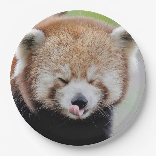 Assiettes En Carton Plaque De Papier Photo Panda Rouge Panda Roux Ani Zazzle Fr Assiettes En Carton Plaque De Papier Photo Panda Rouge Panda Roux Ani Zazzle Fr