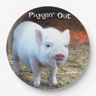 Assiettes En Carton Plaque de papier Piggin' Out Farm Life