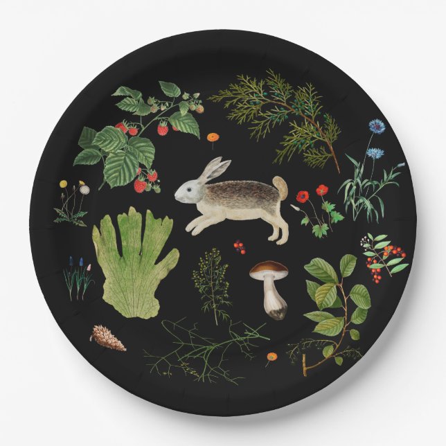 Assiettes En Carton Plaque de papier pour secrets forestiers (Devant)