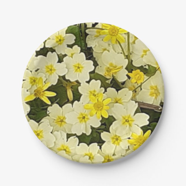 Assiettes En Carton Plaque de papier Spring Primroses (Devant)