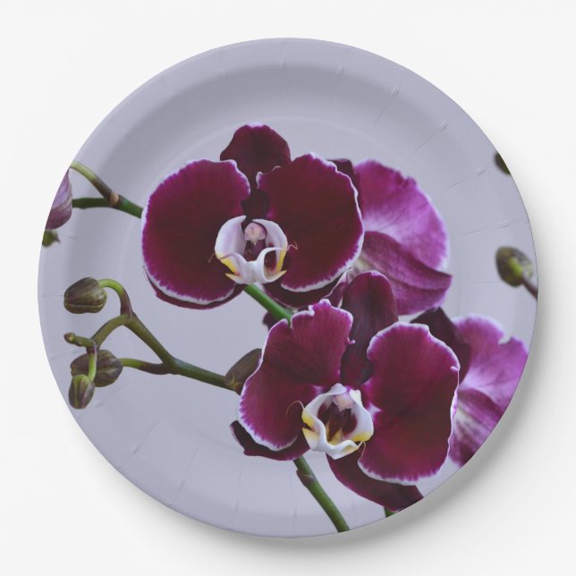 Assiettes En Carton Plaque de papier violet orchidée (Devant)