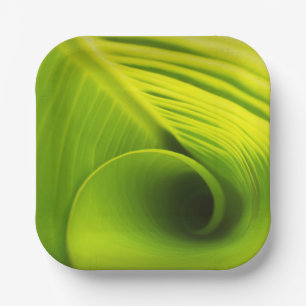 Assiettes En Carton Plaque en papier."Élégance écologique : Conception