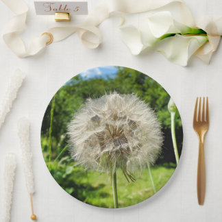 Assiettes En Carton Plaque en papier Fleur sauvage de barbe de chèvre