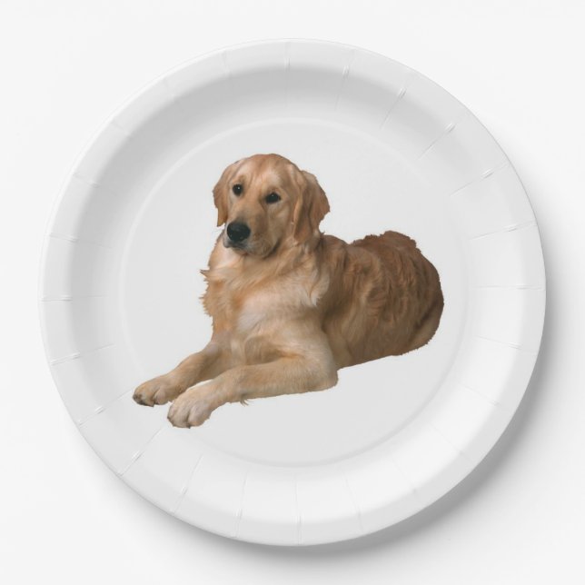 Assiettes En Carton Plaque en papier Golden Retriever (Devant)