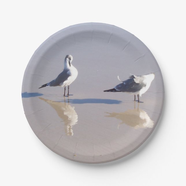 Assiettes En Carton Plaque en papier Windy Seagull (Devant)