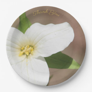 Assiettes En Carton Plaque grand papier à trillium blanc