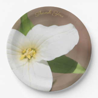 Assiettes En Carton Plaque grand papier à trillium blanc
