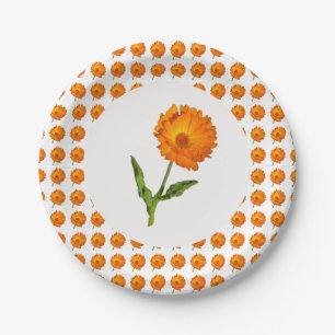 Assiettes En Carton Plaque papier - Calendula