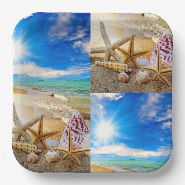 Assiettes En Carton Plaque papier carré de coquillage (Recto)