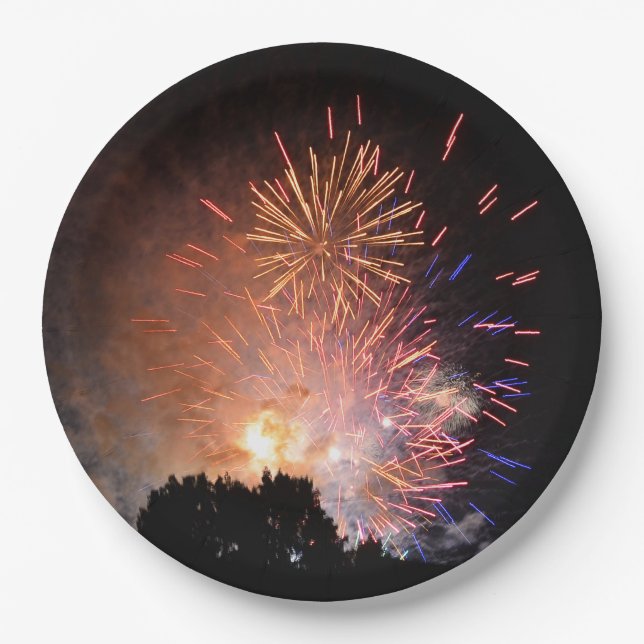 Assiettes En Carton Plaque papier Fireworks (Devant)