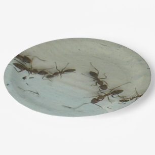 Assiettes En Carton Plaque papier - Fourmis à pique-nique